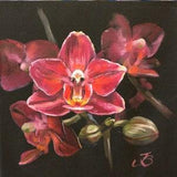 Orchid Painting Floral Original Art Flower Artwork Small Oil Painting 8 by 8 Inches by ArtByBrencane