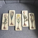 5 Vintage Ibis & Orchid Design Inc. Wall Plaques Rustic