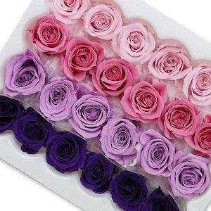 Pink/Purple Mix Media Vivian Mini Roses  colors Mini Preserved Roses , Floral Arrangements, Wedding Roses, Rose Gift, Home Decor