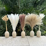 Pampas Grass Boho Home Decor 150Pcs 17-inch Natural Dried Flowers 150 Pcs
