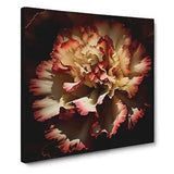 Carnation Flower Abstract Expressionism Canvas Print Wall Art Framed Large
