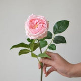 24" Pink Austin Cabbage Roses, Garden Roses, Real Touch Roses, Silk Roses, DIY Wedding Bouquets, Centerpieces