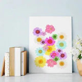 20 Pcs Dried Flowers Resin Jewelry Specimen Materials Craft Suite