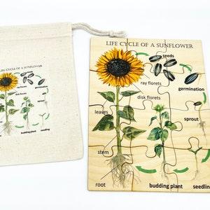 Montessori Wooden Sunflower jigsaw Puzzle/ Wood anatomy puzzle/ Kindergarten Homeschool preschooler toddler Parts of a flower puzzle toys