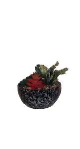 Artificial Flower and Plant Leaves in Unique Case with Rocks