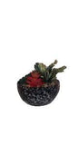 Artificial Flower and Plant Leaves in Unique Case with Rocks