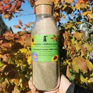Ontario Native Wildflower Kit | 14 Perennial Species 4000+ Seeds | Contains natural amendments and display vase