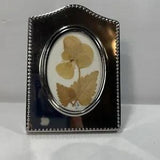 Pressed Dried Wild Flower Framed Art Floral in 4???x3??? Silver Frame