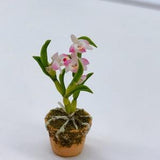 Miniature Flower, Miniature Orchid in pot,Dollhouse Flower,Miniature Garden 1:12