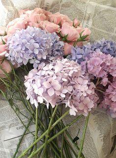 Flower Market Flowers Flower Delivery