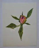 Colored Pencil Drawing of? Peony Flower Bud, 8 x 10, Gicl???e Print