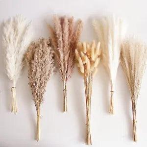 home decor dried Pampas Grasses