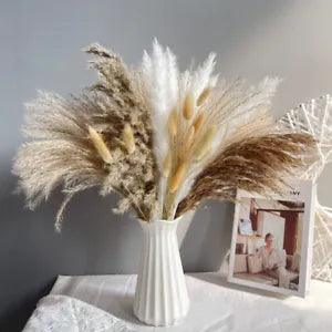 50Pcs Grass Reed Flower Bunch Natural Dried Flower DIY Home Decor