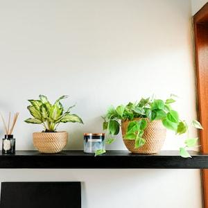 Rattan Pot / Rattan Bowl / Wicker Planter.