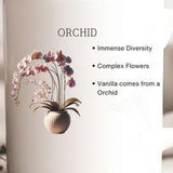 orchid plant coffee mug, orchid plant mug, plant lover gift, plant lady, houseplant lover, garden mug, green thumb gift, orchid gift