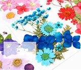 Natural Real Dried Flower Plants For Candle Epoxy Resin Jewelry Making Craft DIY