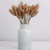 50Pcs/lot Natural Dried  Flowers pampas Wedding Home Decoration Plants Bouquet