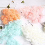 1g Dried Flower Candle Filling Aromatherapy Wax Resin Epoxy Jewelry Art Craft
