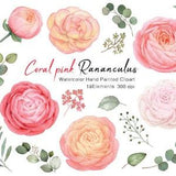 Watercolor flower clipart,Ranunculus  bouquet,Floral arrangements,flower clipart,Wedding Clipart,pink Bouquet,Floral Watercolor