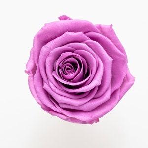 Preserved Rose, Preserving Roses, Red Dried rose, Everlasting Infinity flower, Bouquet Wedding, Birthday Cake toppings, Flower decoration.