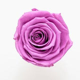 Preserved Rose, Preserving Roses, Red Dried rose, Everlasting Infinity flower, Bouquet Wedding, Birthday Cake toppings, Flower decoration.