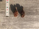20 Magnolia Seed Pods Cones