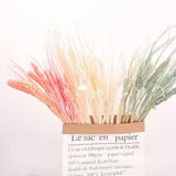 5Pcs Natural Dried Flowers Wheatears Floral Bouquet Arrangement Home Decor Craft