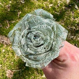 Sage Lace Roses with Stems, Lace Flower Bouquet, Lace Flowers, Lace Roses, 13th Wedding Anniversary Gift, Lace Gift for Her, Thirteenth