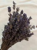 2021 Tennessee Grown Dried French Lavender Flowers 9??? To 12???