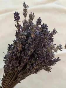 2022 Tennessee Grown Dried French Lavender Flowers 6??? To 9???