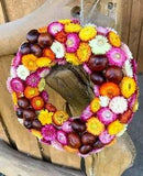 Dried Strawflower and chesnut wreath