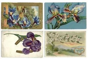 LOT OF 4 Lily colorful iris Language of Flowers floral c1910 vintage postcards