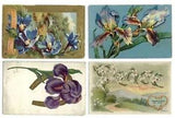 LOT OF 4 Lily colorful iris Language of Flowers floral c1910 vintage postcards
