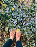 Blue Flowers - The Best Blue Wedding Flowers in the Colour of the Year: Classic Blue Flower Delivery
