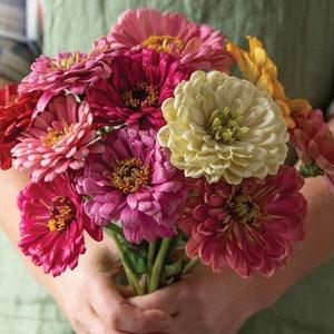 25 State Fair Zinnia Seed Mix / Zinnia Elegans / Cut Flower / Cupcake Flower / English Garden / Wildflowers / Cottage / Bouquet Flowers