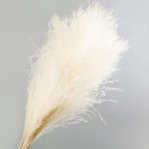 55CM Natural Dried Flower Reed Branch Grass Plant Home Wedding Party Decor DIY
