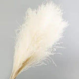 55CM Natural Dried Flower Reed Branch Grass Plant Home Wedding Party Decor DIY