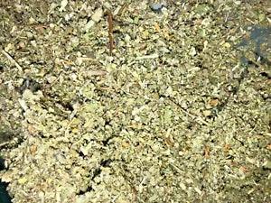 Marshmallow-Mullein Bulk Organic Natural Herbal Blend Brew Mix - 5 lb POUNDS