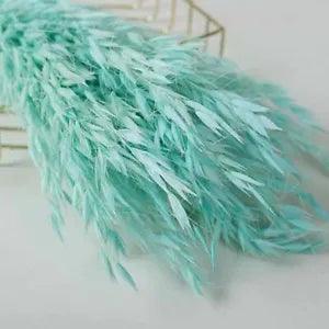 1 Bouquets Naturally Real Oat Dried Flowers Party Wedding Home Decoration Floral