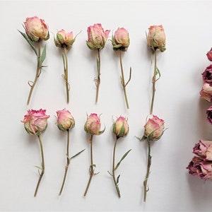 Dried mini roses 5pcs, Real dried tiny pink roses, Dried boho roses with stems, Mini wedding bouquet