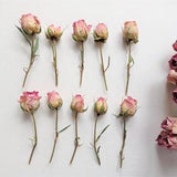 Dried mini roses 5pcs, Real dried tiny pink roses, Dried boho roses with stems, Mini wedding bouquet