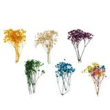 1 Bag Dyed Leaves Dried Flowers Filler For Decor,