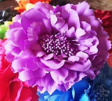 USA SELLER Hair Fashion Fabric Flower Clip Brooch Rose Peony Lady Purple shoes