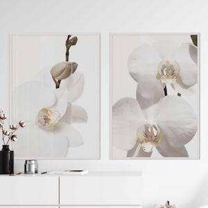 Delicate Watercolor White Orchid Print, Set of 2 Prints Orchid Wall Art Orchid Art Print Orchids Printable Botanical Print Set Floral Poster
