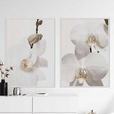 Delicate Watercolor White Orchid Print, Set of 2 Prints Orchid Wall Art Orchid Art Print Orchids Printable Botanical Print Set Floral Poster