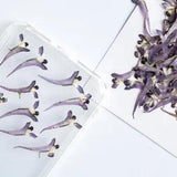12PCS Real Pressed Dry mini Flower purple Flower Head for art candle craft FSS43