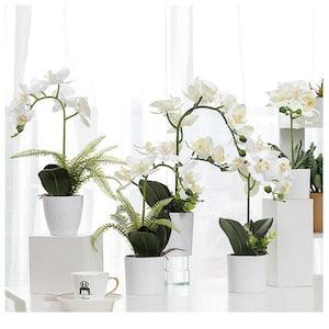 Orchid Flower Arrangement, White Orchid in Pot, Artificial Floral Arrangement, Faux Orchid Centerpieces for Home Indoor Decorations BF195P