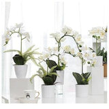 Orchid Flower Arrangement, White Orchid in Pot, Artificial Floral Arrangement, Faux Orchid Centerpieces for Home Indoor Decorations BF195P