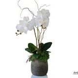 Real touch orchids in beaded pot. Artificial orchid centerpiece.