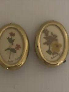 2  Pressed Dried Flowers Brass Frames Irish Ireland Buttercup Scarlet Pimpernel